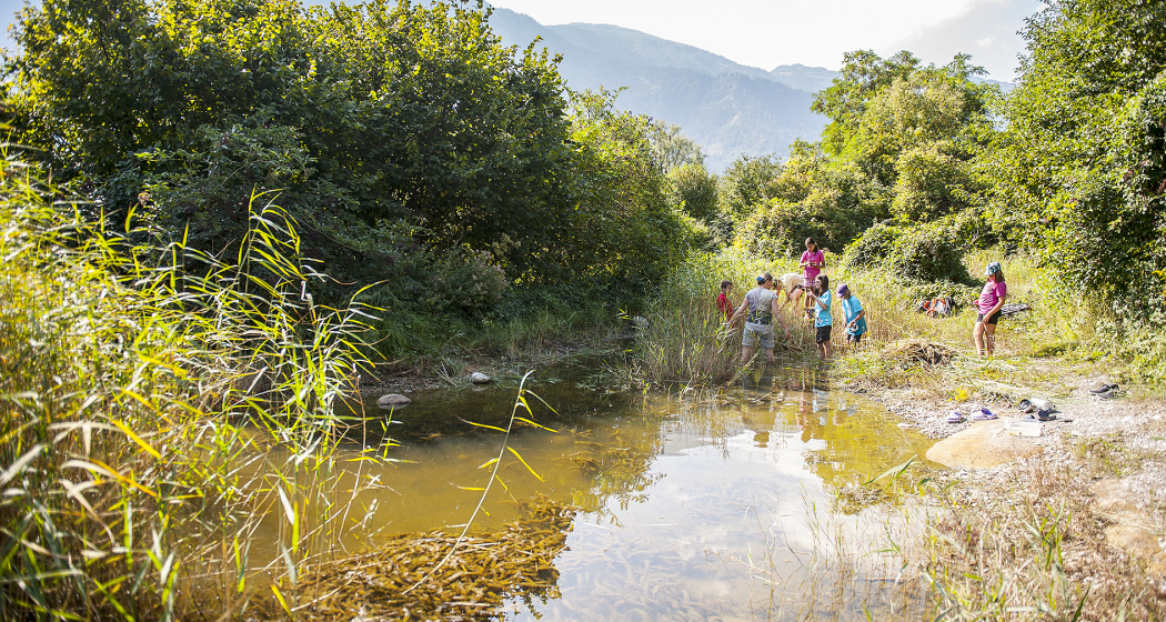 Natur z’Khur –Diin Isatz für d’Natur vor dinra Hustür! Bisch dabi? (gdl_872316798_image) Natur z’Khur –Diin Isatz für d’Natur vor dinra Hustür! Bisch dabi? (gdl_872316798_image)