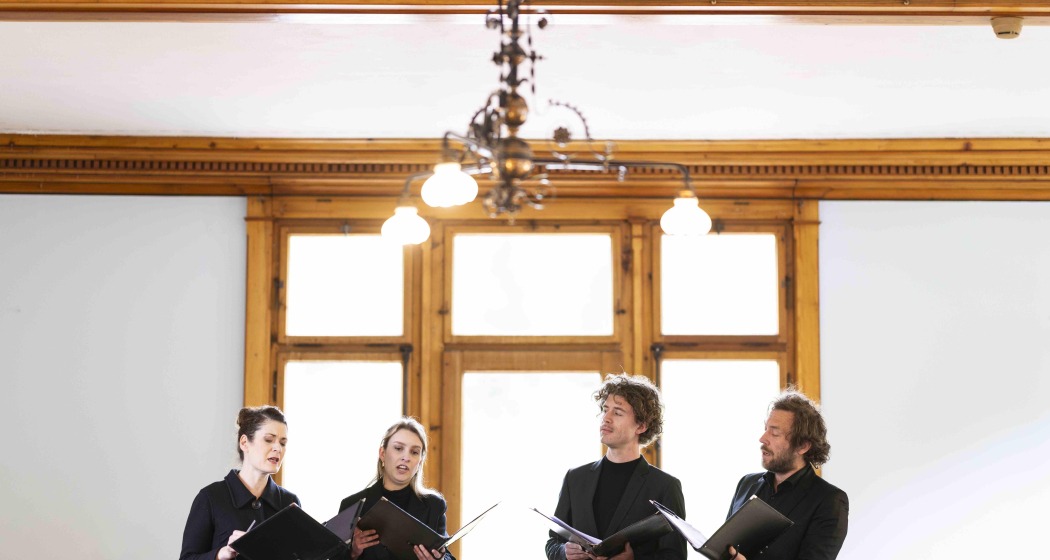 SEN VIADI - Reiselieder (gdl_878292167_image)