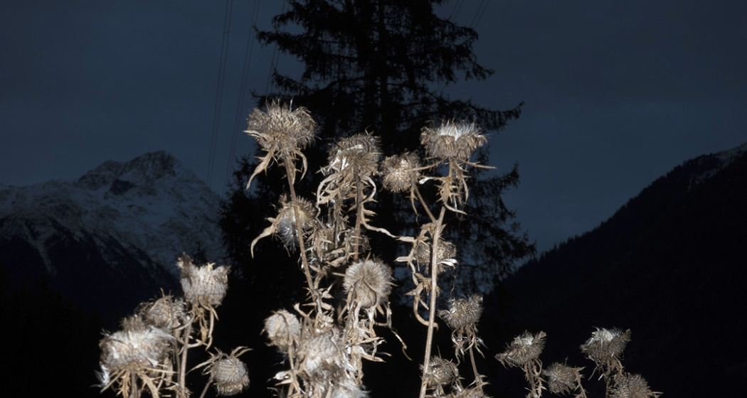 Gir d’Air + (gdl_878629843_image)