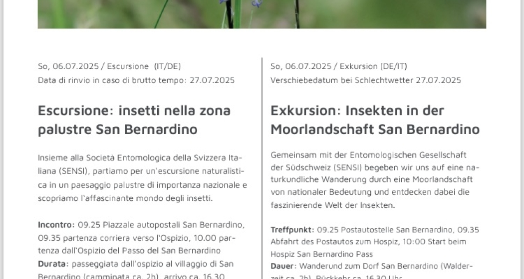 Escursione naturalistica - il mondo degli insetti (gdl_880001567_image) Escursione naturalistica - il mondo degli insetti (gdl_880001567_image)