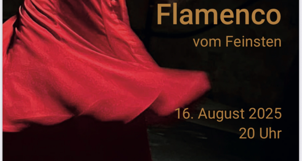 Flamenco vom Feinsten (gdl_880715003_image) Flamenco vom Feinsten (gdl_880715003_image)