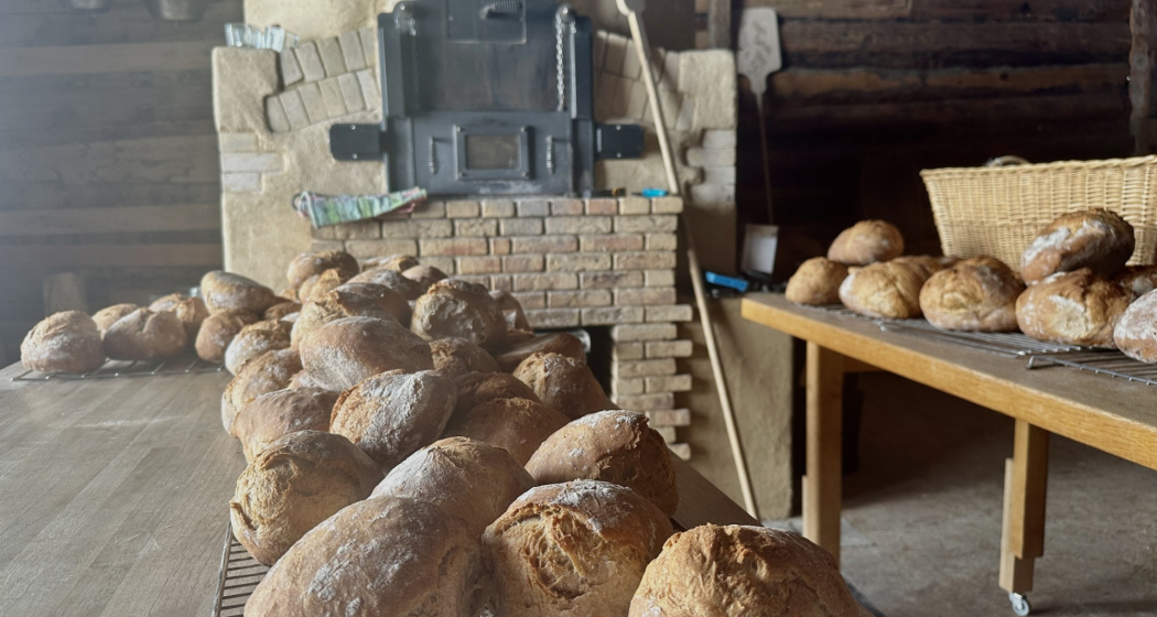 «graubündenVIVA im Fokus» Brotbacktradition erleben (gdl_882606743_image) «graubündenVIVA im Fokus» Brotbacktradition erleben (gdl_882606743_image)