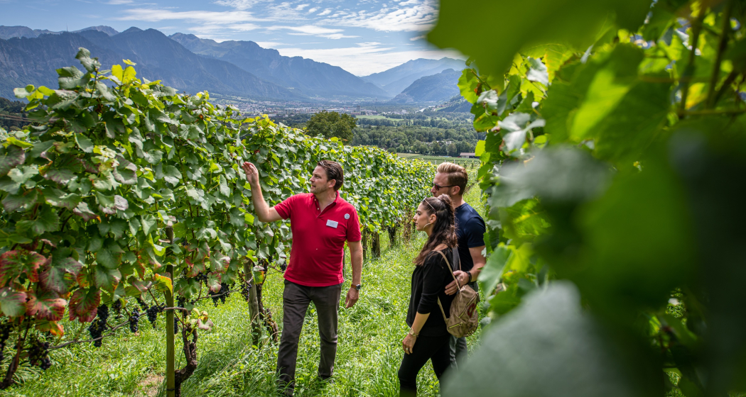 Bündner Weinwanderung (gdl_884445094_image)