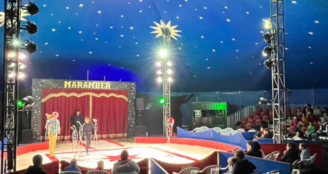 Circus Maramber in Trun (gdl_886223145_image) Circus Maramber in Trun (gdl_886223145_image)