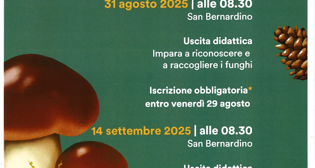 Il magico mondo dei funghi – Un evento imperdibile a San Bernardino (gdl_888419860_image) Il magico mondo dei funghi – Un evento imperdibile a San Bernardino (gdl_888419860_image)