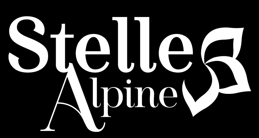Stelle Alpine - 𝗨𝗻 𝘃𝗶𝗮𝗴𝗴𝗶𝗼 𝗱𝗶 𝗴𝘂𝘀𝘁𝗼 𝘁𝗿𝗮 𝗹𝗲 𝗔𝗹𝗽𝗶 (gdl_890871699_image) Stelle Alpine - 𝗨𝗻 𝘃𝗶𝗮𝗴𝗴𝗶𝗼 𝗱𝗶 𝗴𝘂𝘀𝘁𝗼 𝘁𝗿𝗮 𝗹𝗲 𝗔𝗹𝗽𝗶 (gdl_890871699_image)