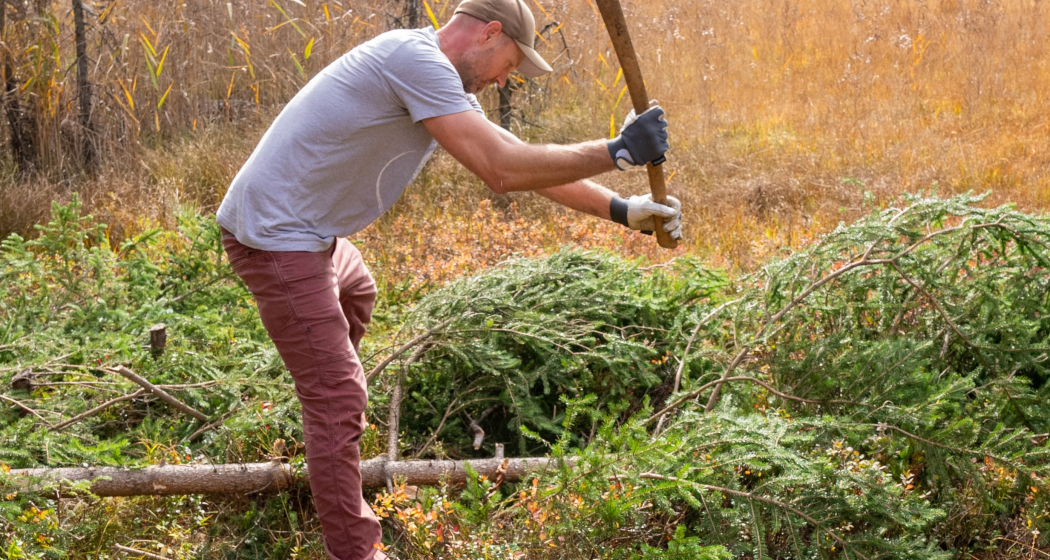 Mit dem WWF im Einsatz für den Hochmoor-Perlmutterfalter (gdl_891538294_image) Mit dem WWF im Einsatz für den Hochmoor-Perlmutterfalter (gdl_891538294_image)