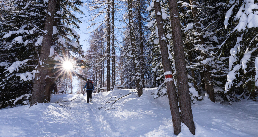 Geführte Schneeschuhwanderung für Kinder ab 8 Jahre (gdl_891644843_image) Geführte Schneeschuhwanderung für Kinder ab 8 Jahre (gdl_891644843_image)