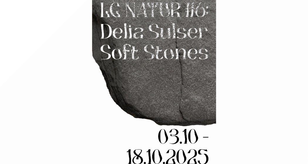 Vernissage LG NATUR #6: Delia Sulser – Soft Stones (gdl_892958298_image) Vernissage LG NATUR #6: Delia Sulser – Soft Stones (gdl_892958298_image)