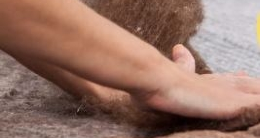 Zievamezdi dˋinscunter / Seniorennachmittag (gdl_895587912_image)