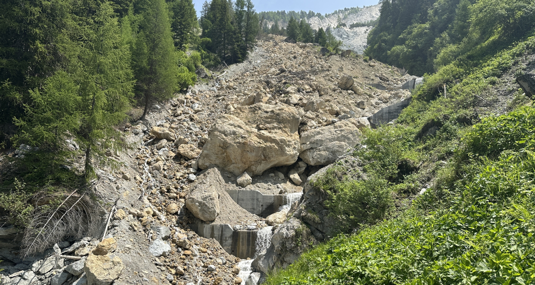 Di dal god / Waldtag (gdl_895726641_image) Di dal god / Waldtag (gdl_895726641_image)