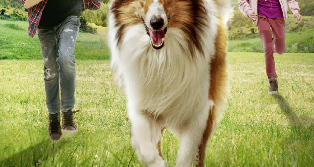 Cinema Stalla - Lassie- Eine abenteuerliche Reise (gdl_898653291_image) Cinema Stalla - Lassie- Eine abenteuerliche Reise (gdl_898653291_image)