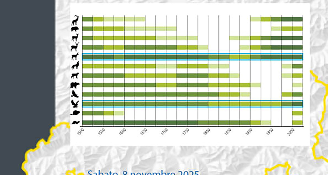 ATLANTE STORICO DEI GRIGIONI 1524 - 2024 (gdl_899887446_image)