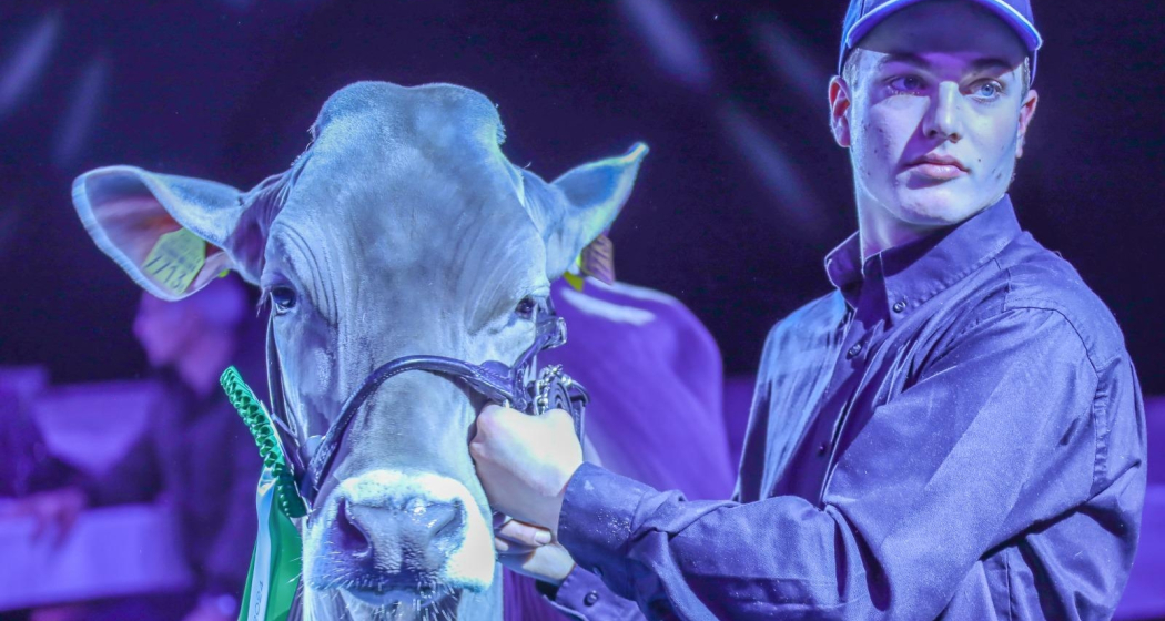 Alpin Festival (gdl_899953796_image)