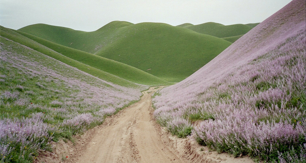 film & culinarica: RIVERBOOM (gdl_900092483_image)