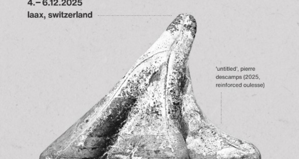 form25 | Exchange in Skateboarding (gdl_900112655_image)