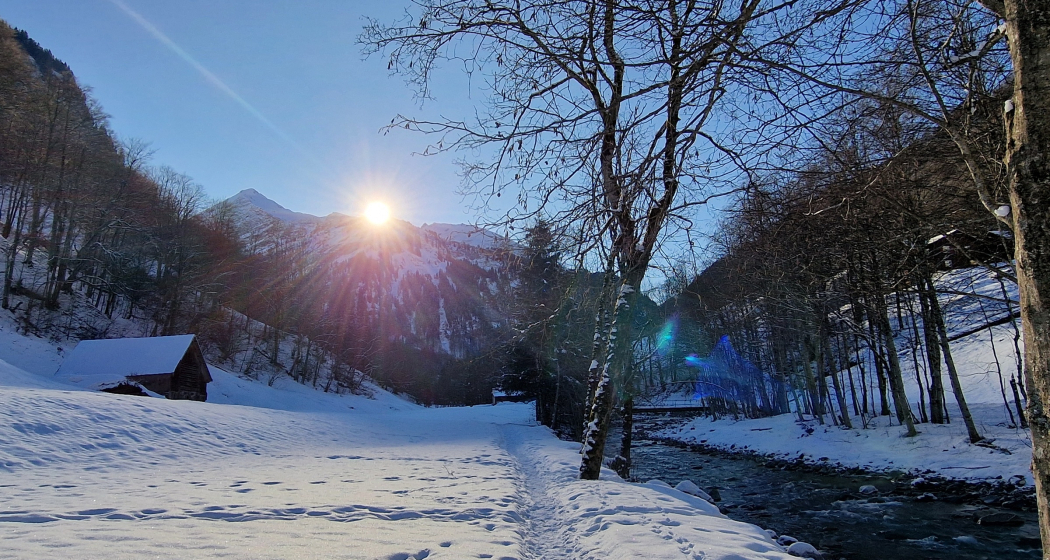 Naturerlebnis im Weisstannental (gdl_900332721_image)