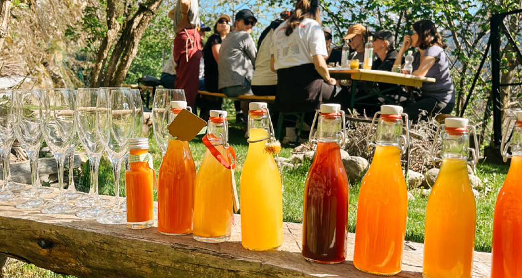 Yoga & Wildkräuter im Valposchiavo (gdl_900414983_image)