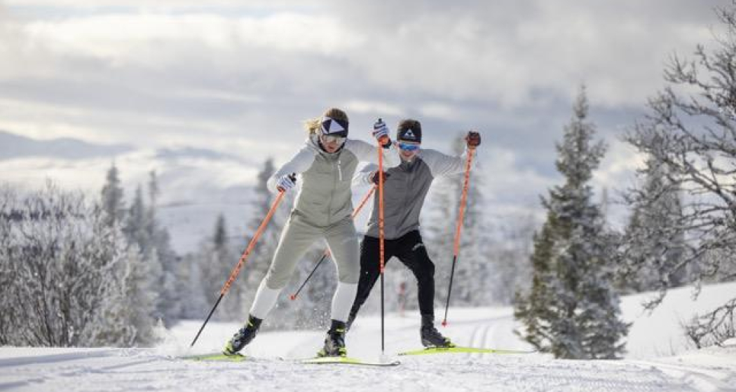 LL klassisch | Anfänger (gdl_900824071_image)