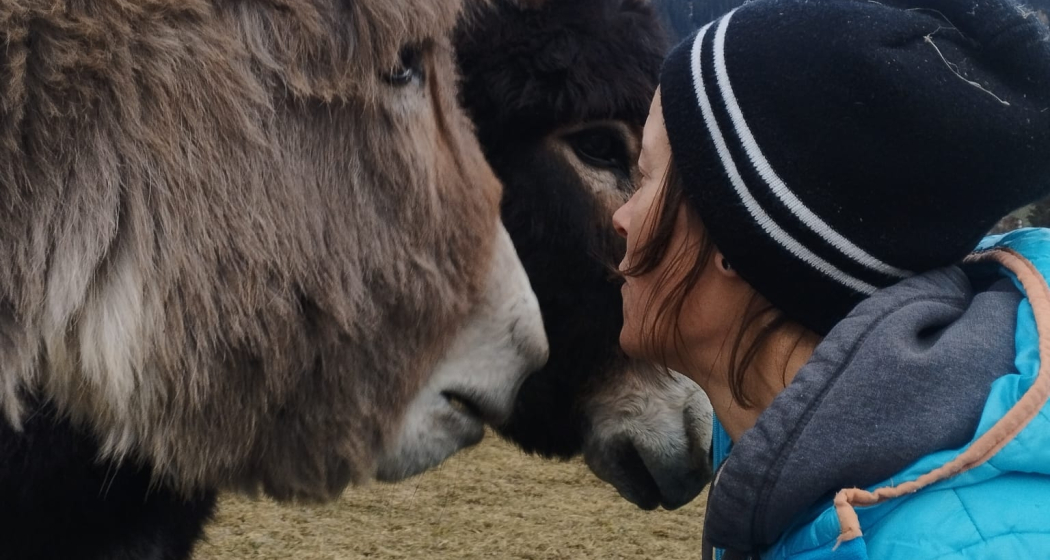 Besuch auf dem Bauernhof (gdl_901207433_image)