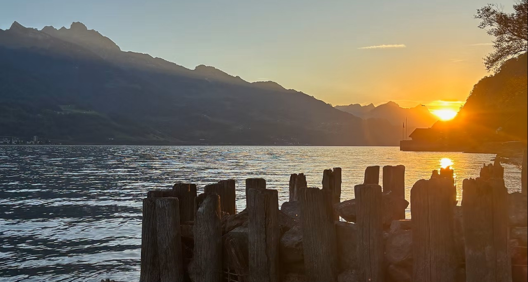 Tage der offenen Türen (gdl_901383424_image)