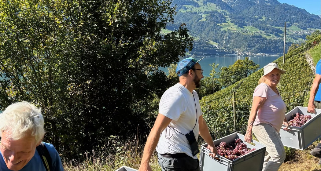 Tage der offenen Türen (gdl_901383425_image)