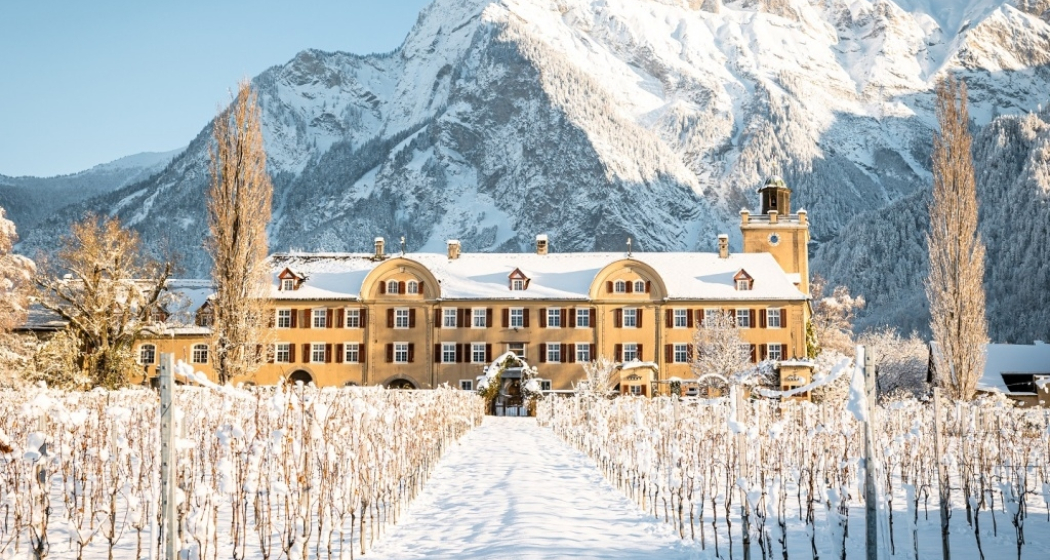 Offener Weinkeller (gdl_902031780_image)