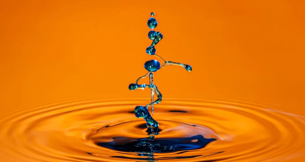 Vernissage Waldgalerie - Ausstellung "Tropfen" (gdl_902570734_image)