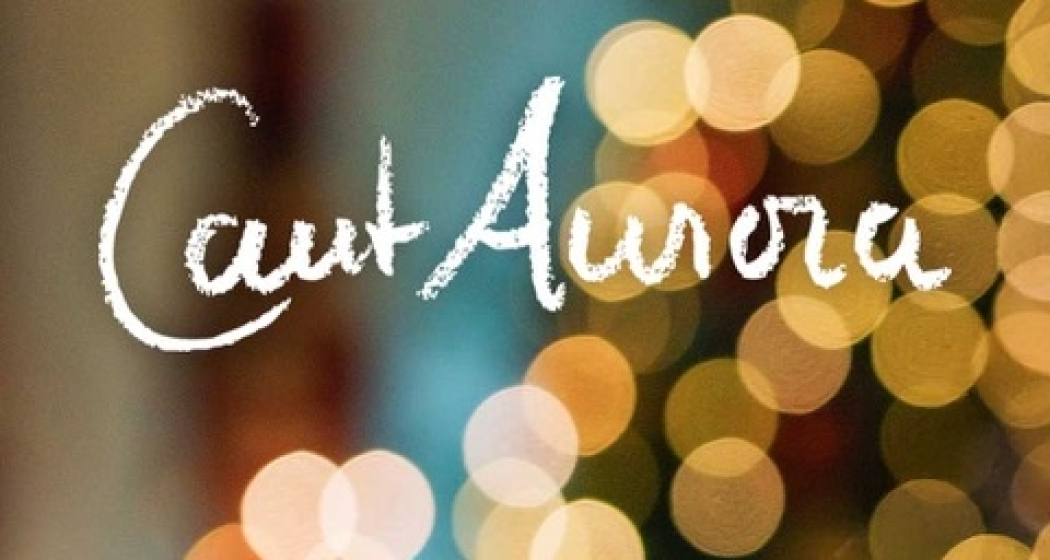 Konzert: Weihnachts-Oratorium von J. S. Bach (gdl_903494692_image)