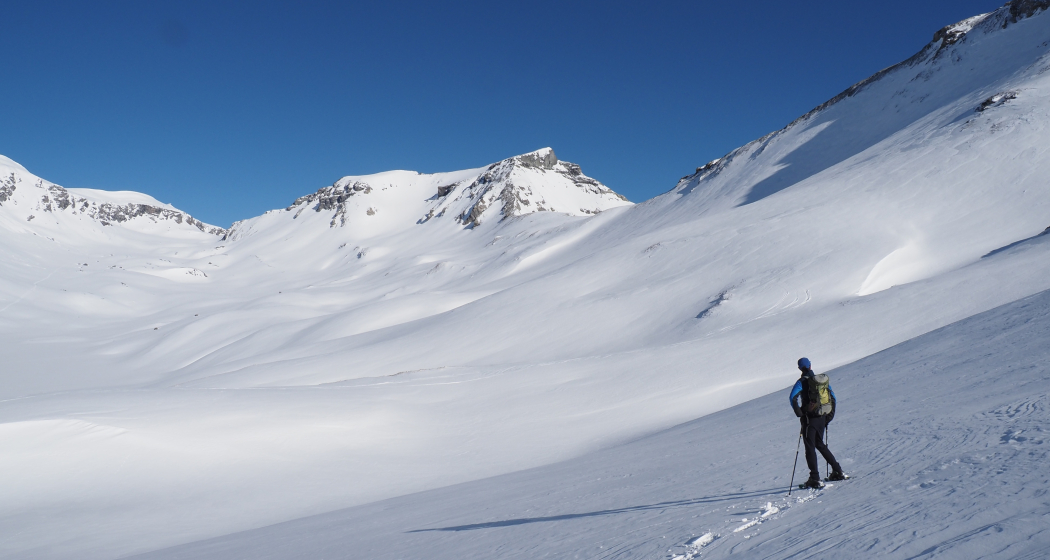 Geführte Schneeschuhwanderung auf den Piz Dolf / Trinserhorn 3000m (gdl_903526517_image)