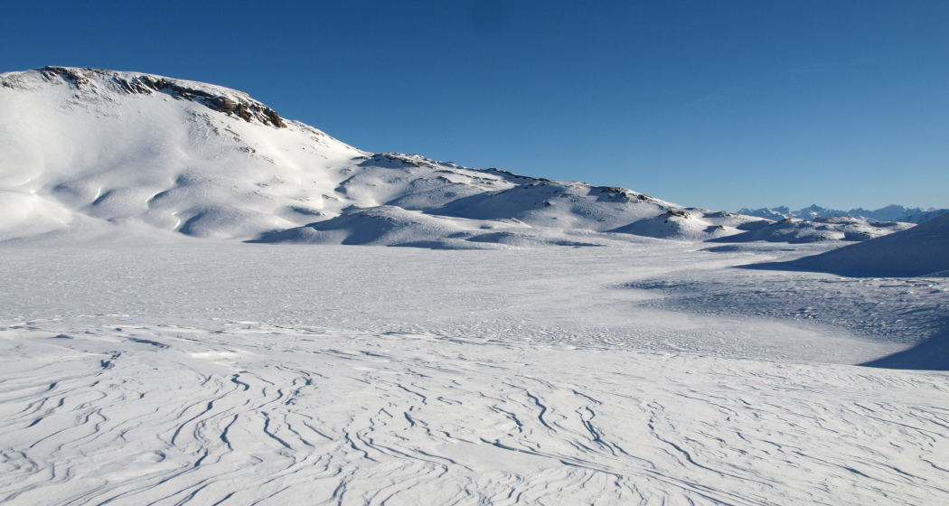 Geführte Schneeschuhwanderung auf den Piz Dolf / Trinserhorn 3000m (gdl_903526518_image)