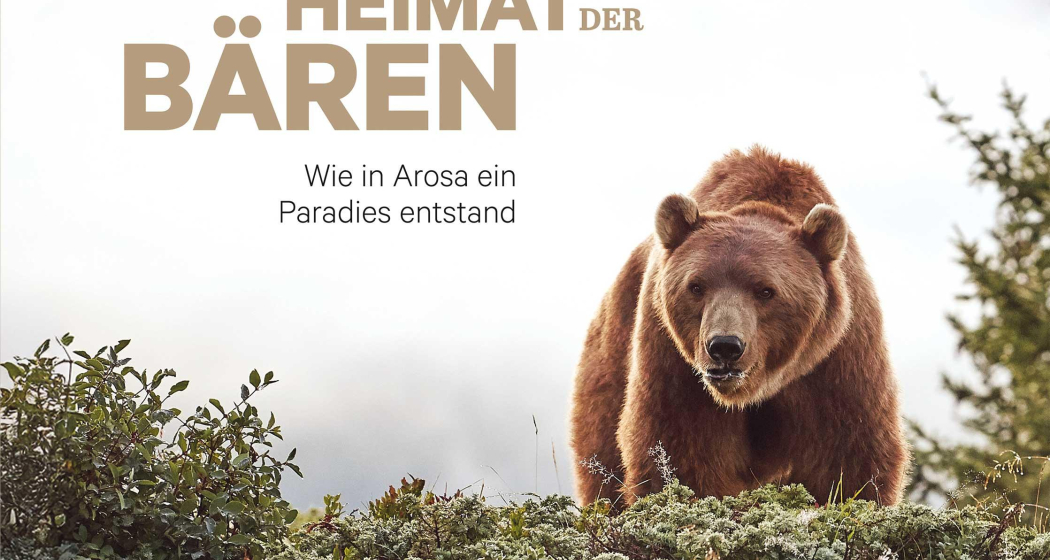 Vernissage im Arosa Bärenland (gdl_903542934_image)