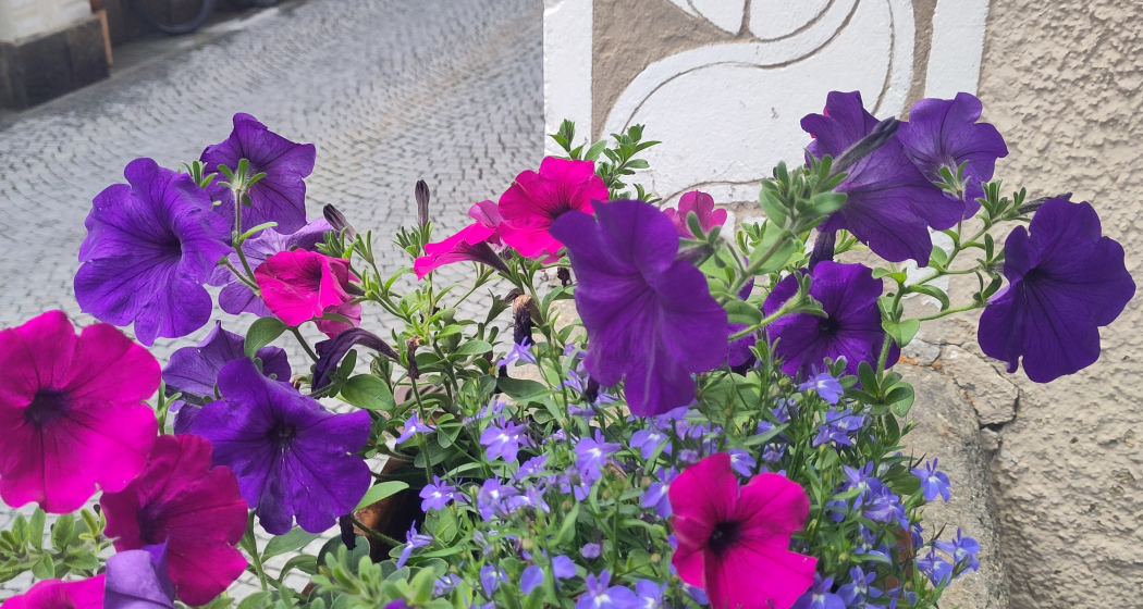 Alpenüberquerung Via Valtellina (gdl_904414529_image)