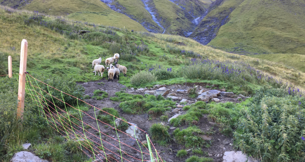 "Ein Leben in den Bergen" Referat von Michael Flepp in Lumbrein (gdl_904451125_image)
