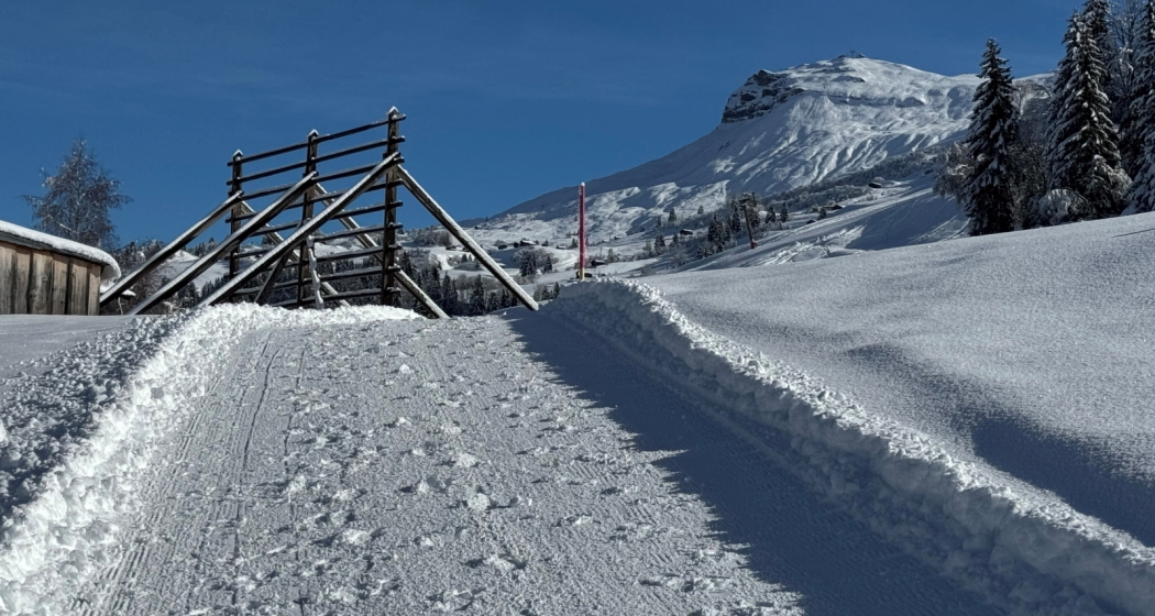 Neujahrsapéro in Obersaxen-Meierhof (gdl_904474292_image)