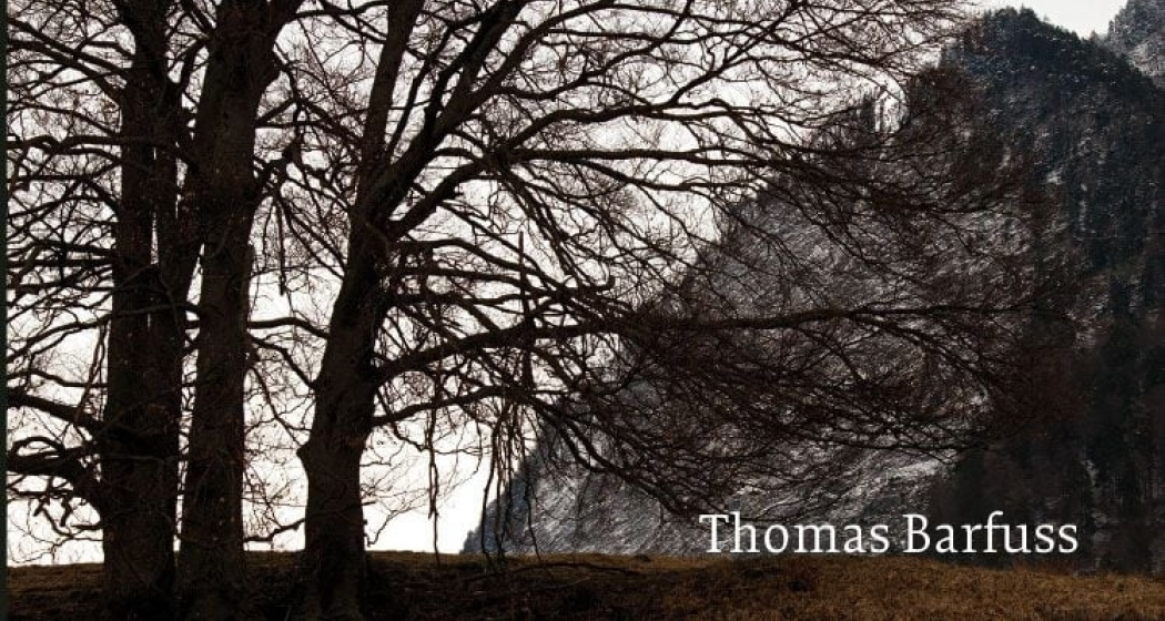 Christie, Simenon, Bannalec. Der Bündner Krimi und ... (gdl_904805086_image)