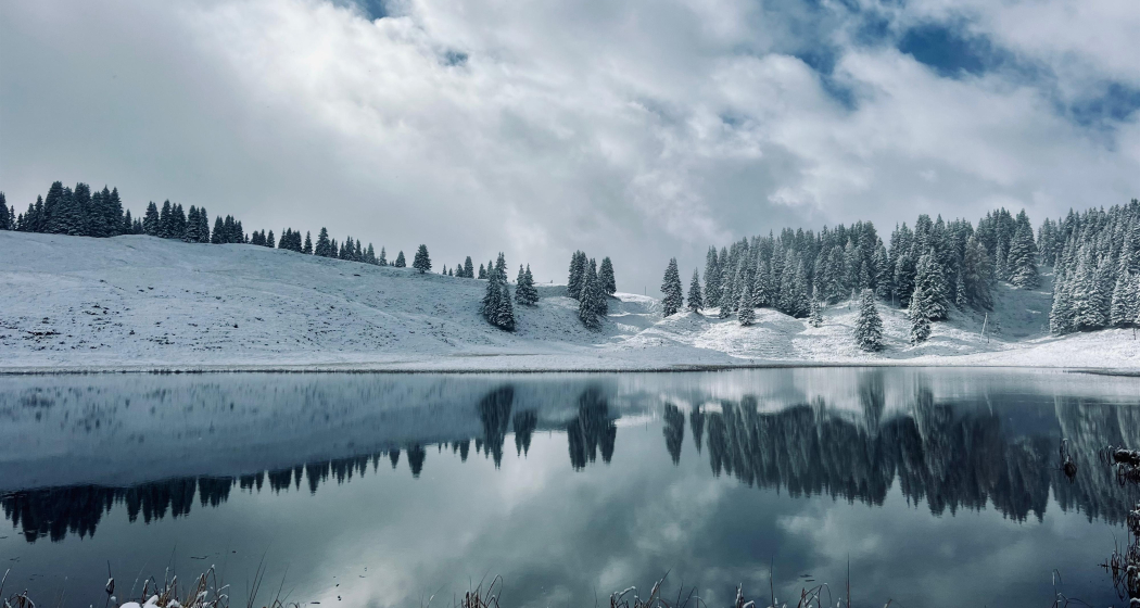 ArosaAkademie «Samiklaus Schneeschuhwanderung» (gdl_904856704_image)