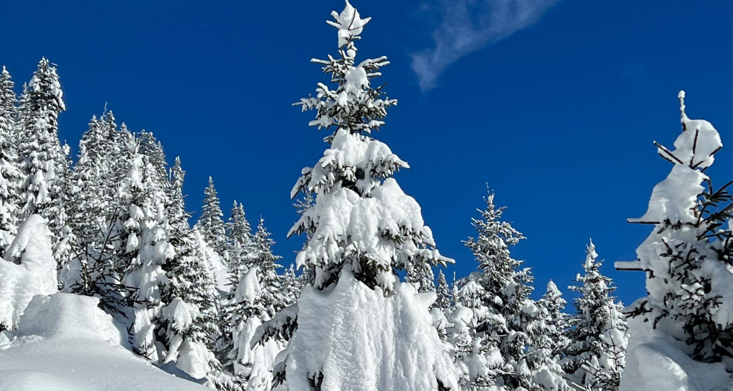 ArosaAkademie «Samiklaus Schneeschuhwanderung» (gdl_904856746_image)
