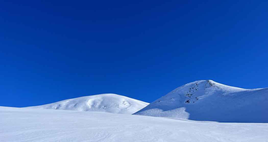 Schneeschuhsafari vom Prättigau ins Schanfigg (gdl_905519608_image)