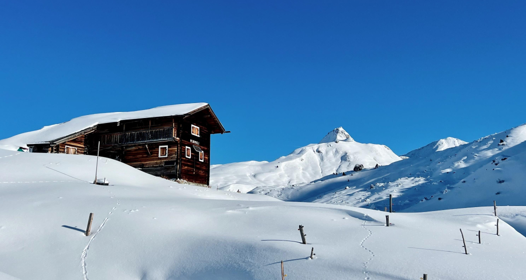 Schneeschuhsafari vom Prättigau ins Schanfigg (gdl_905519629_image)
