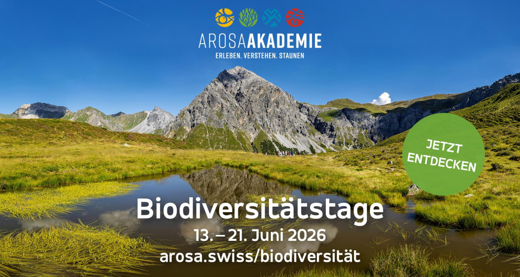 Biodiversitätsmarkt Arosa 2026 (gdl_905519630_image)