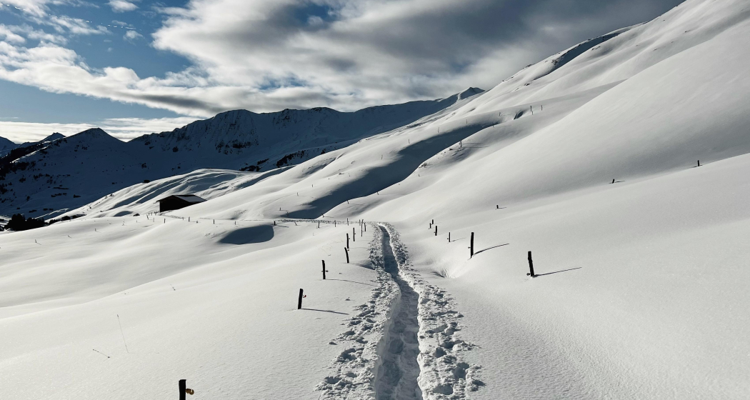 Schneeschuhsafari vom Prättigau ins Schanfigg (gdl_905519631_image)