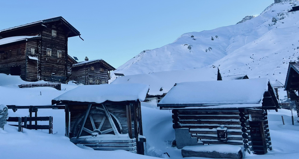 Schneeschuhsafari vom Prättigau ins Schanfigg (gdl_905519635_image)