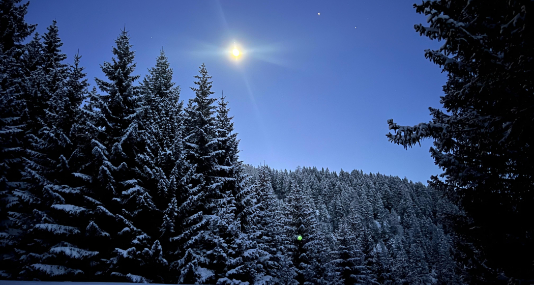 Mondschein & Fondue am Hochwang (gdl_905519655_image)