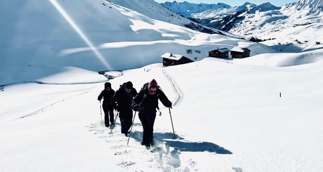 Schneeschuh Weekend abseits vom Weihnachtsrummel (gdl_905519676_image)