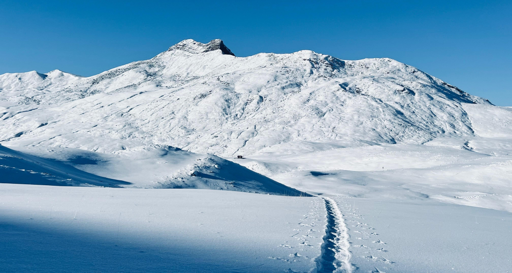Schneeschuhsafari vom Prättigau ins Schanfigg (gdl_905519678_image)