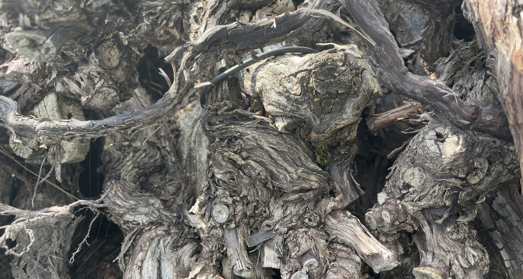 Seniorentreff im Pfrundhaus (gdl_905622414_image)