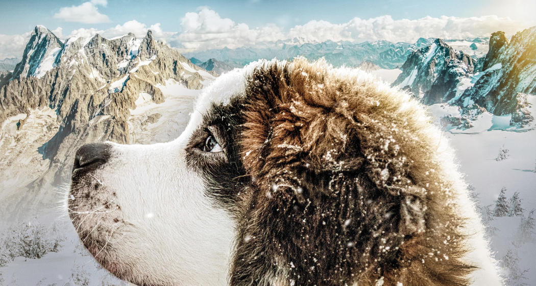 Mein Freund Barry (gdl_905679582_image)