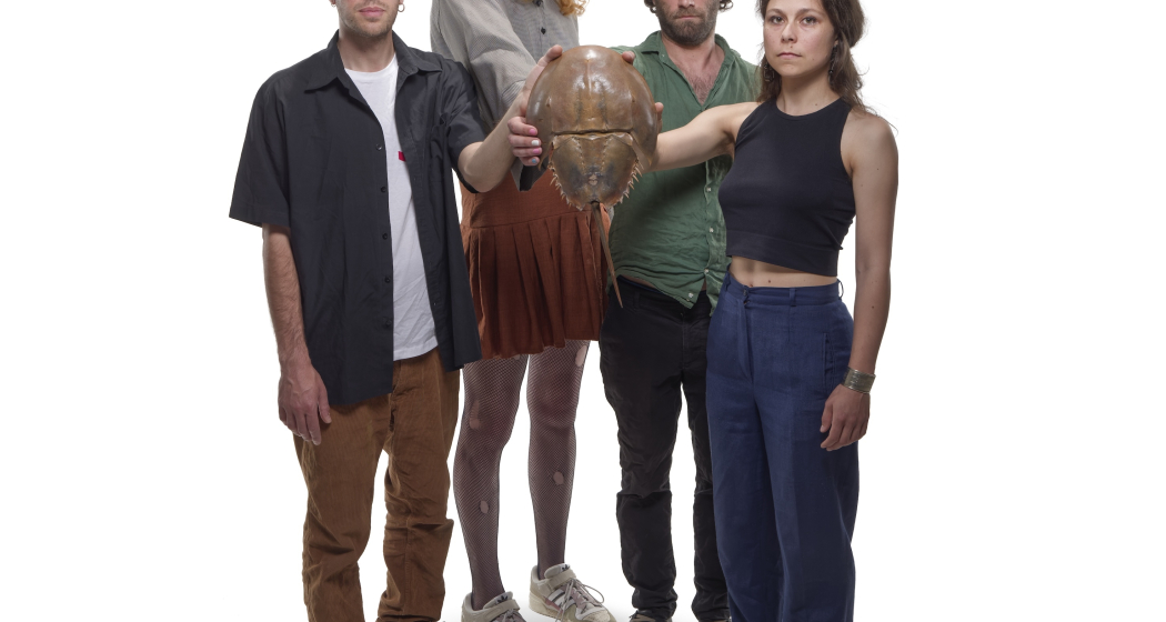 Killer Whales Music Theory (Koop. mit Suisse Diagonales Jazz) (gdl_906467786_image)