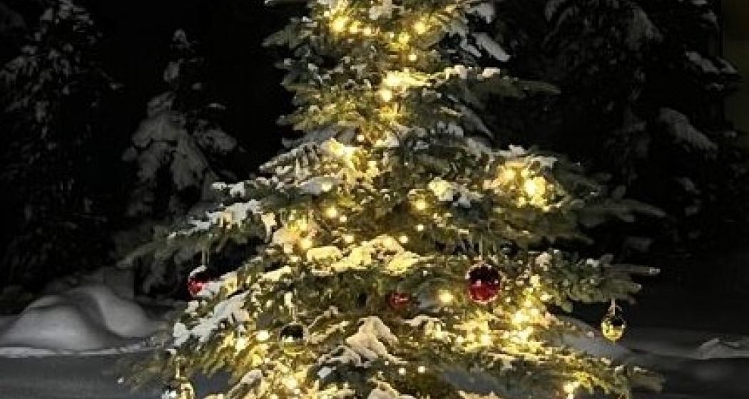 Bös-chin da scoula Guarda/Ardez (gdl_906626693_image)